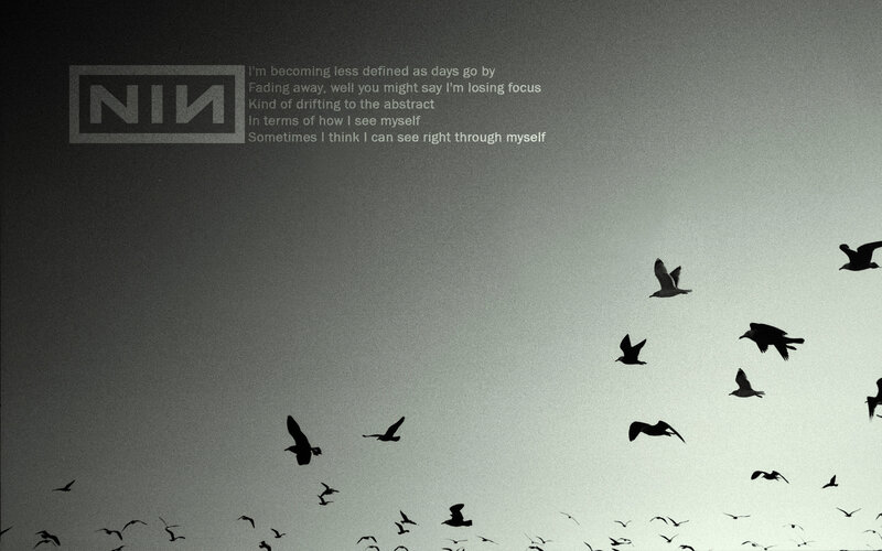NIN logo with birds