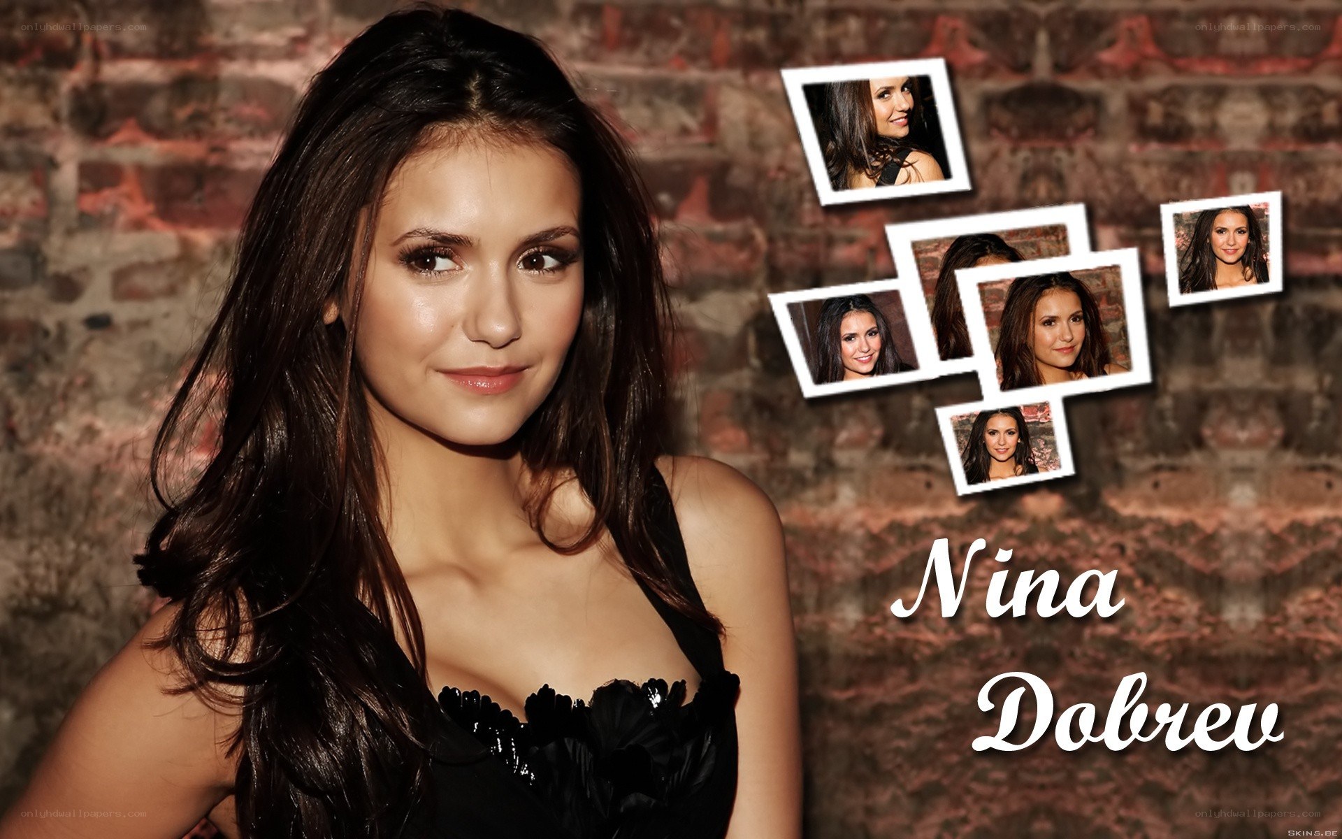 Nina Dobrev portrait collage