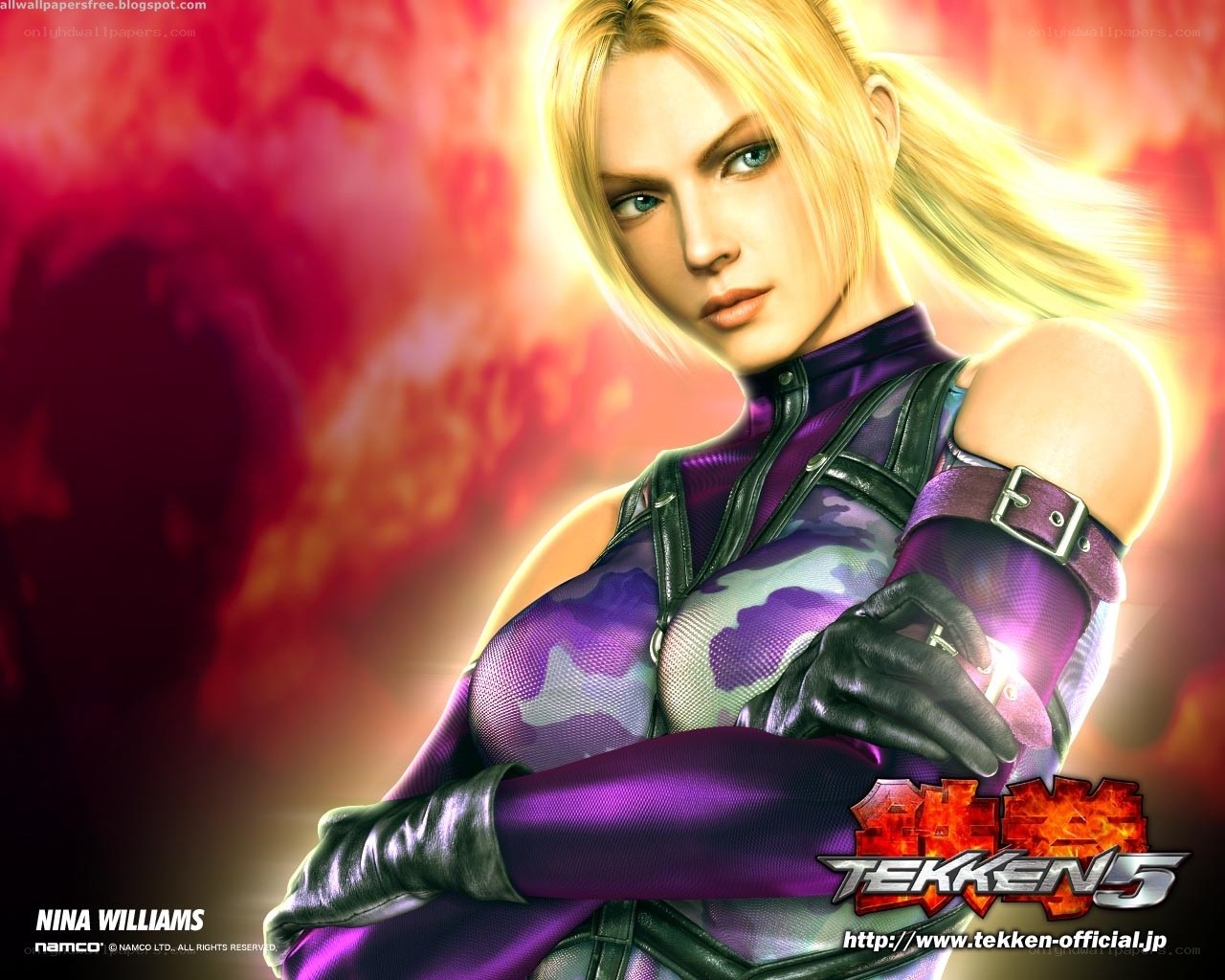 Nina Williams from Tekken 5