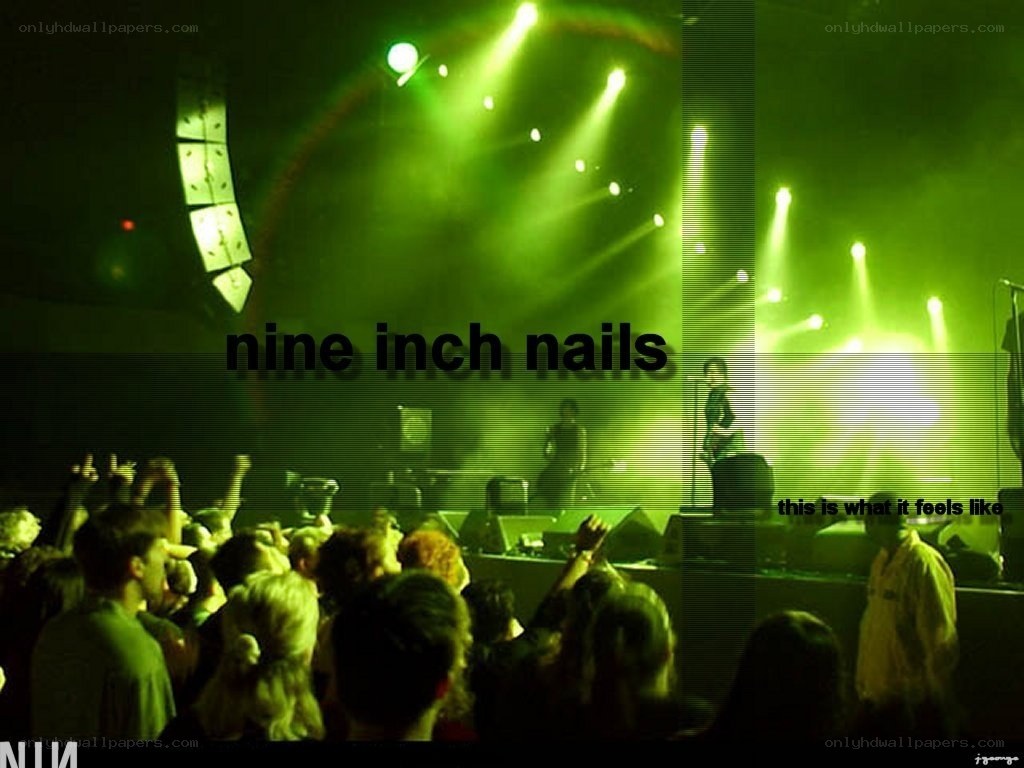 Nine Inch Nails concert
