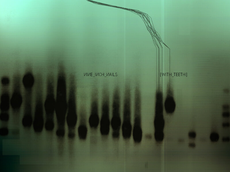 Nine Inch Nails with Teeth