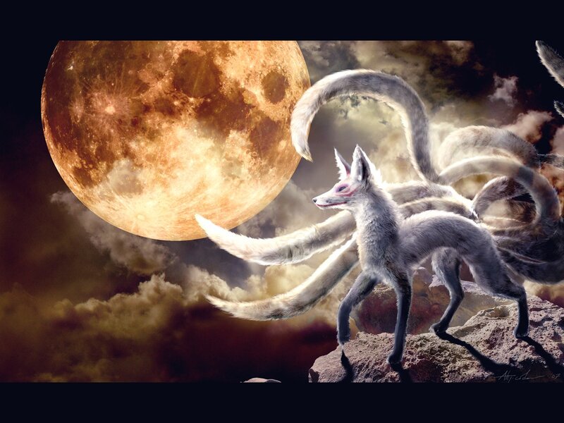 Nine-tailed Fox — Gray
