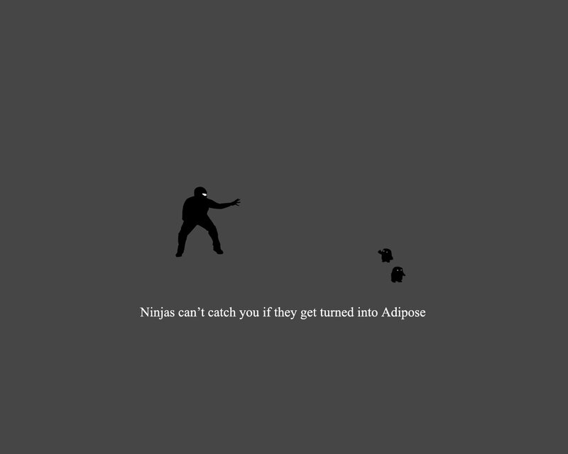 Ninja and Adipose