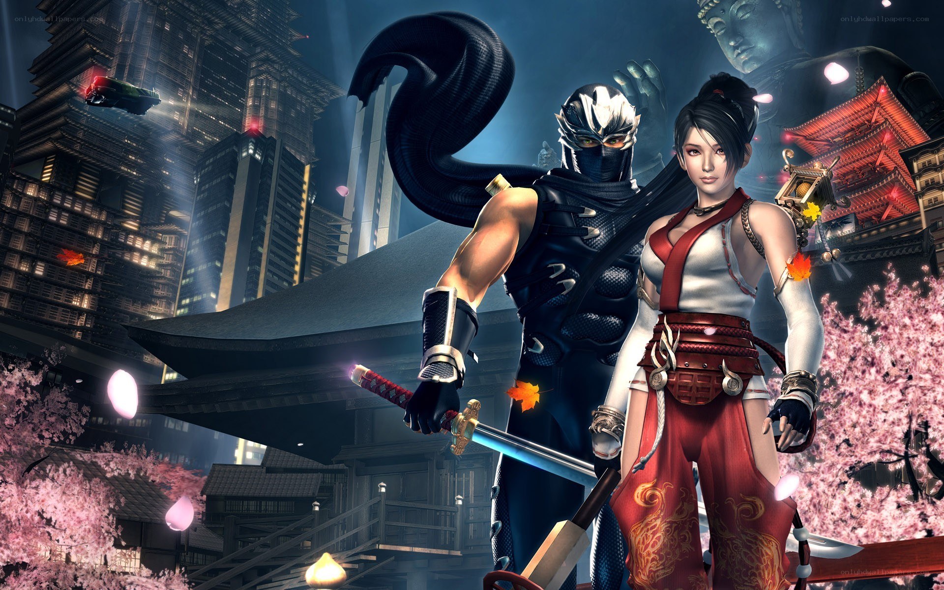 Ninja and warrior in a city