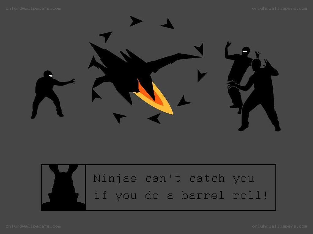 Ninja barrel roll escape