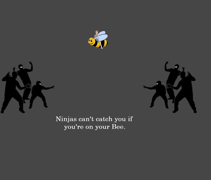 Ninja Bee Escape