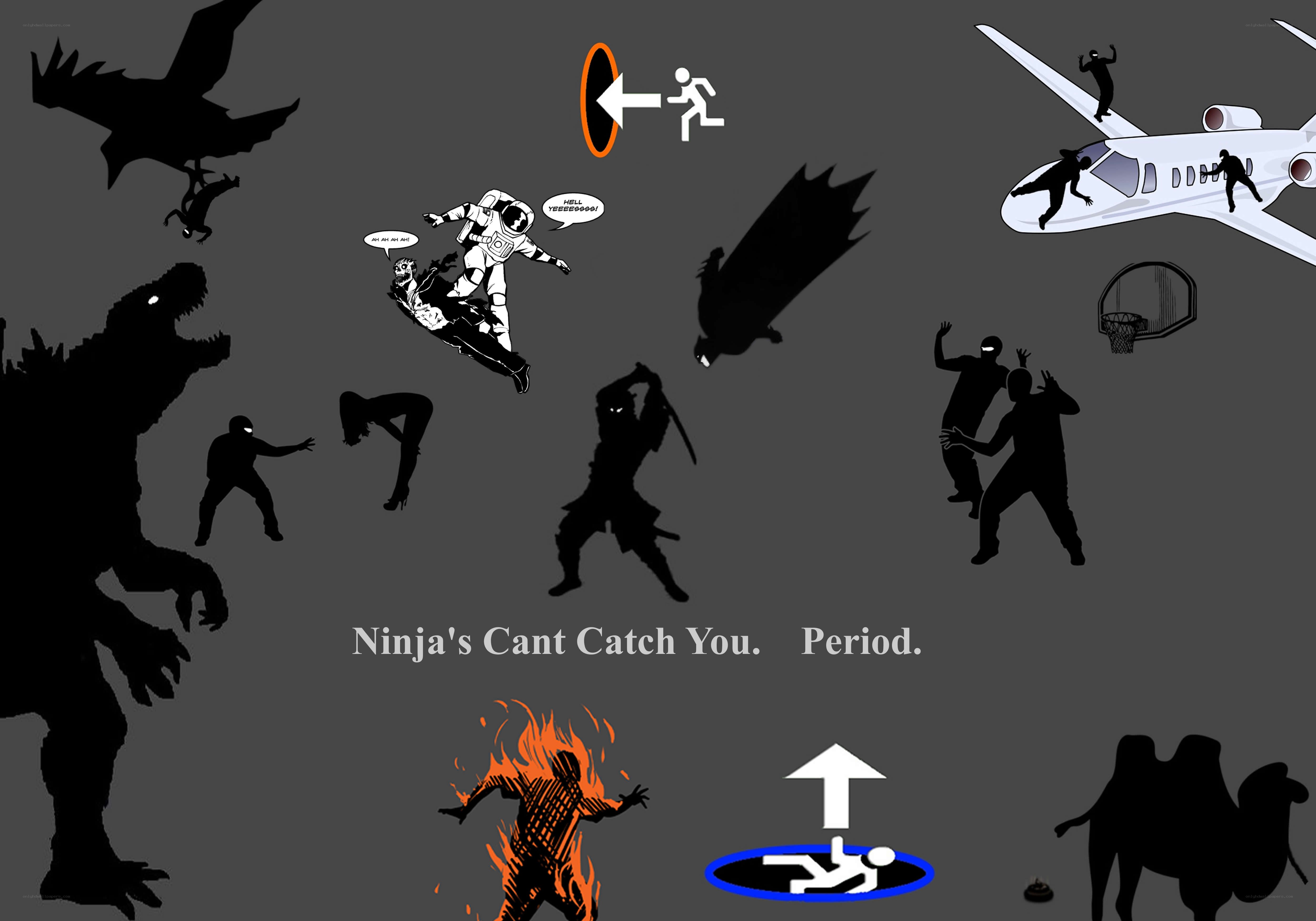 Ninja Can't Catch You