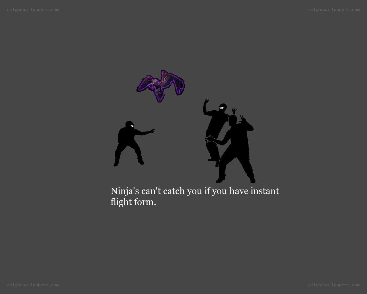 Ninja can't catch you