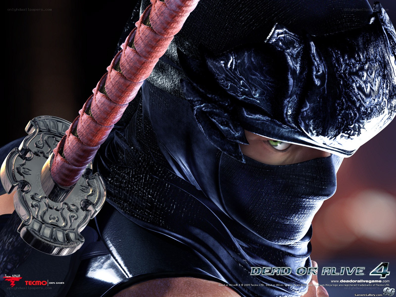 Ninja character from Dead or Alive 4