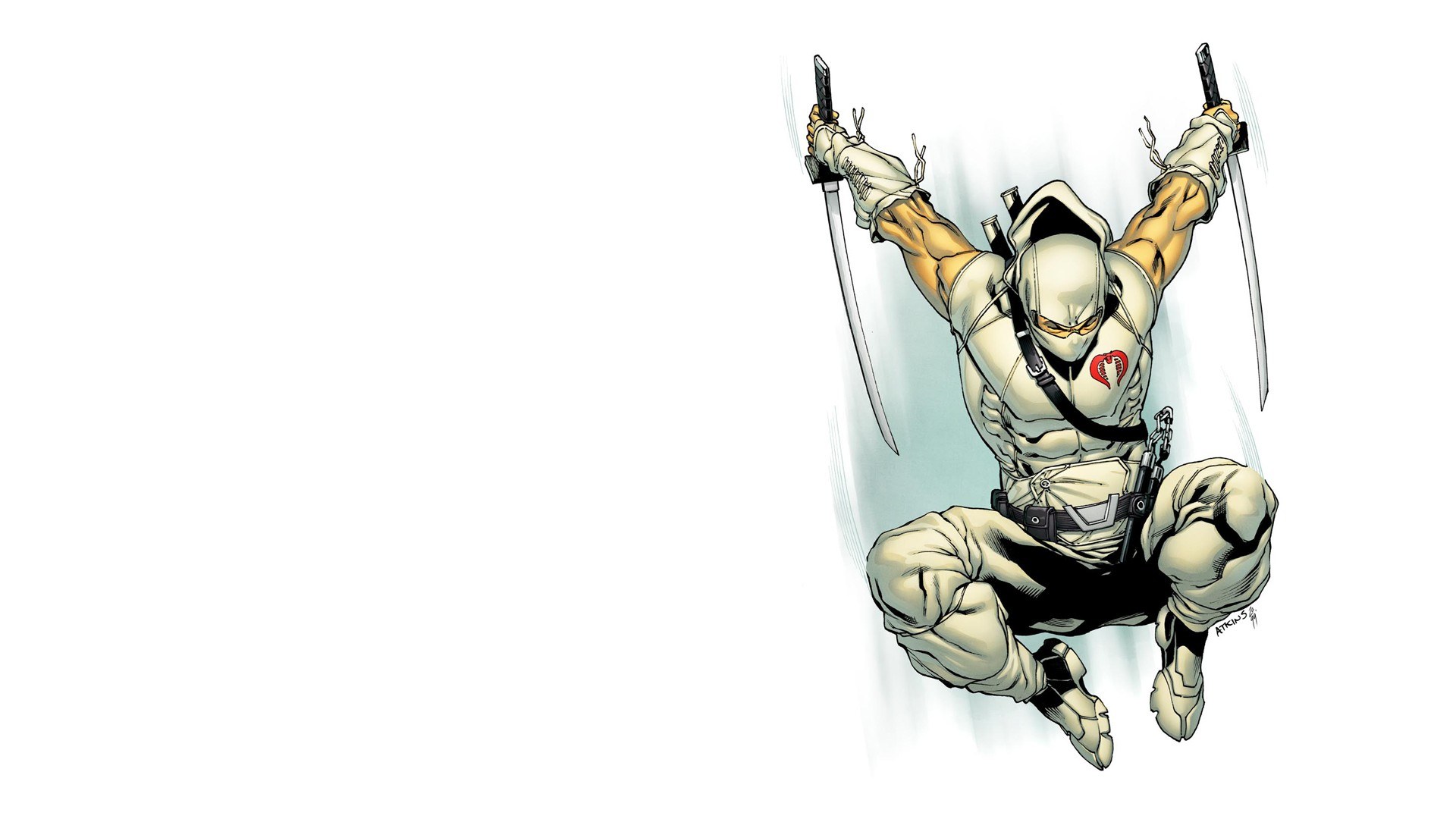 Ninja character with swords