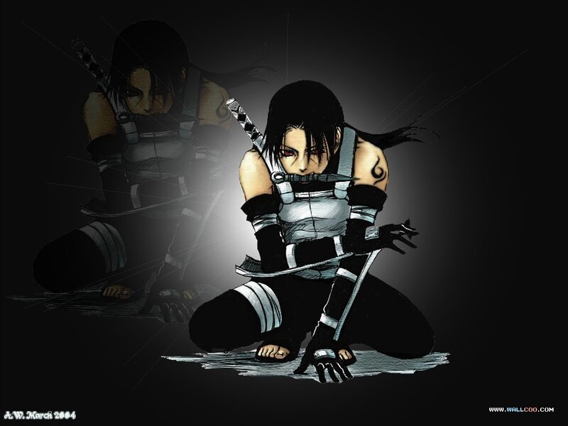 Ninja character with swords