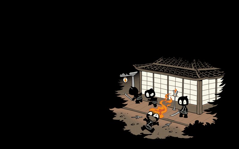 Ninja Characters in Action