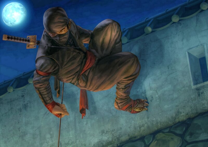Ninja Climbing Wall