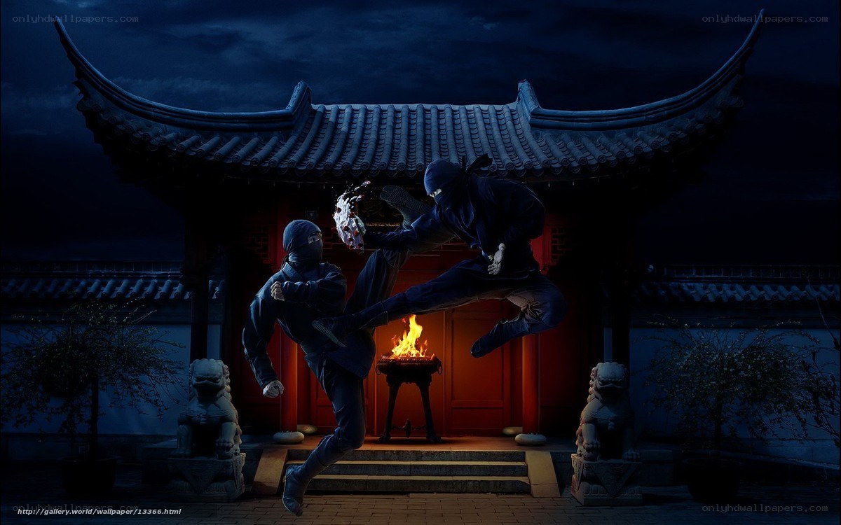 Ninja combat at night