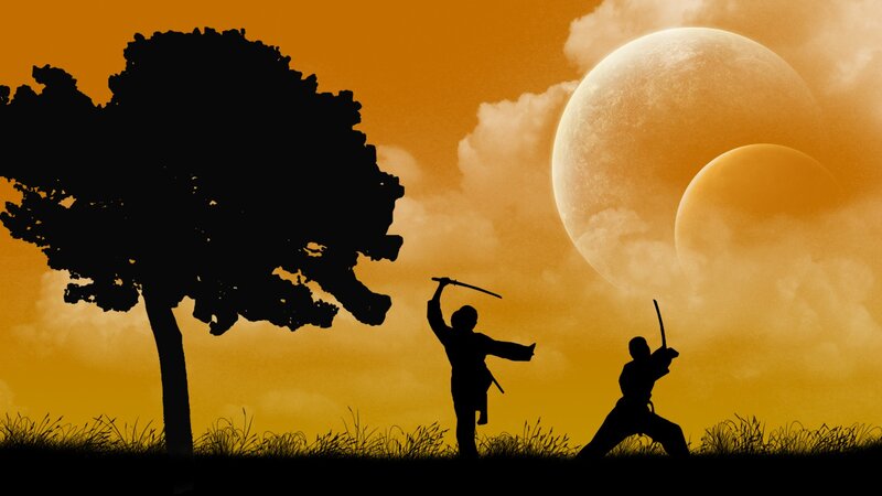Ninja duel at sunset