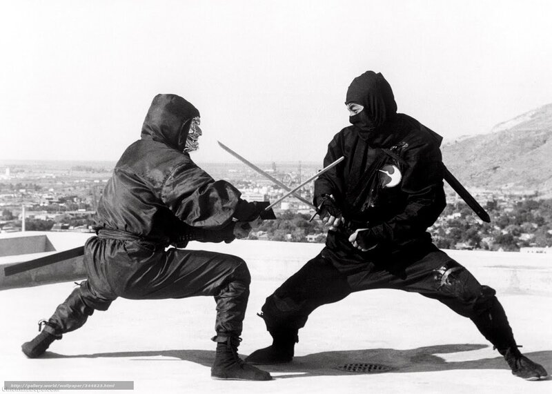 Ninja duel on rooftop