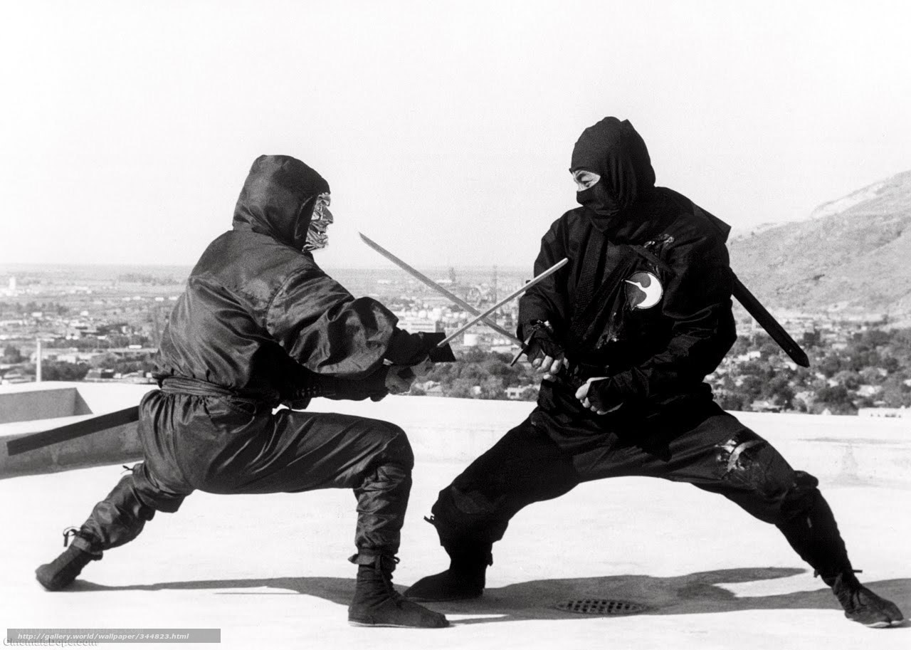 Ninja duel on rooftop