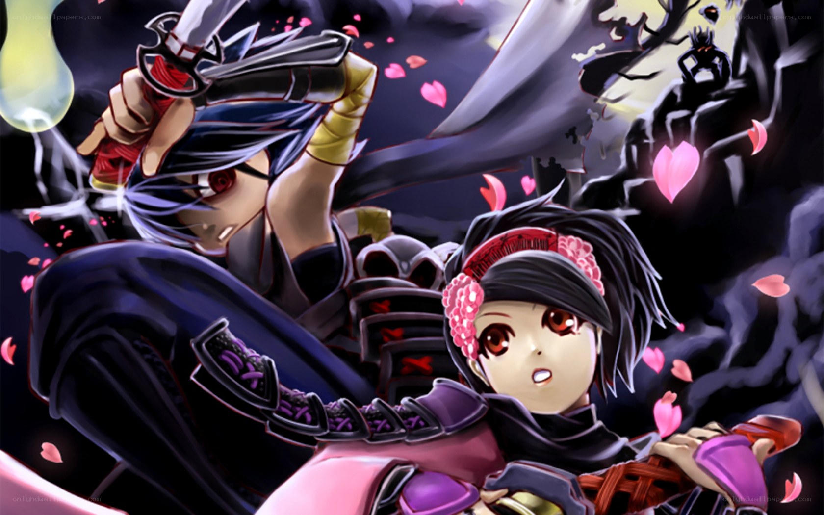 Ninja duel with cherry blossoms