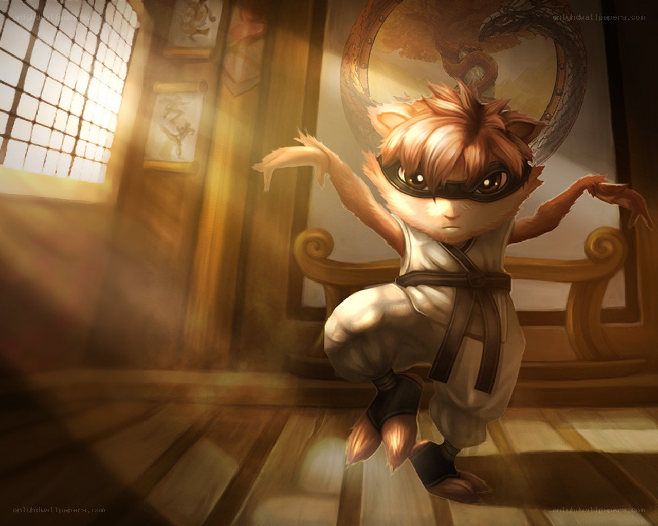 ninja fox character in dojo