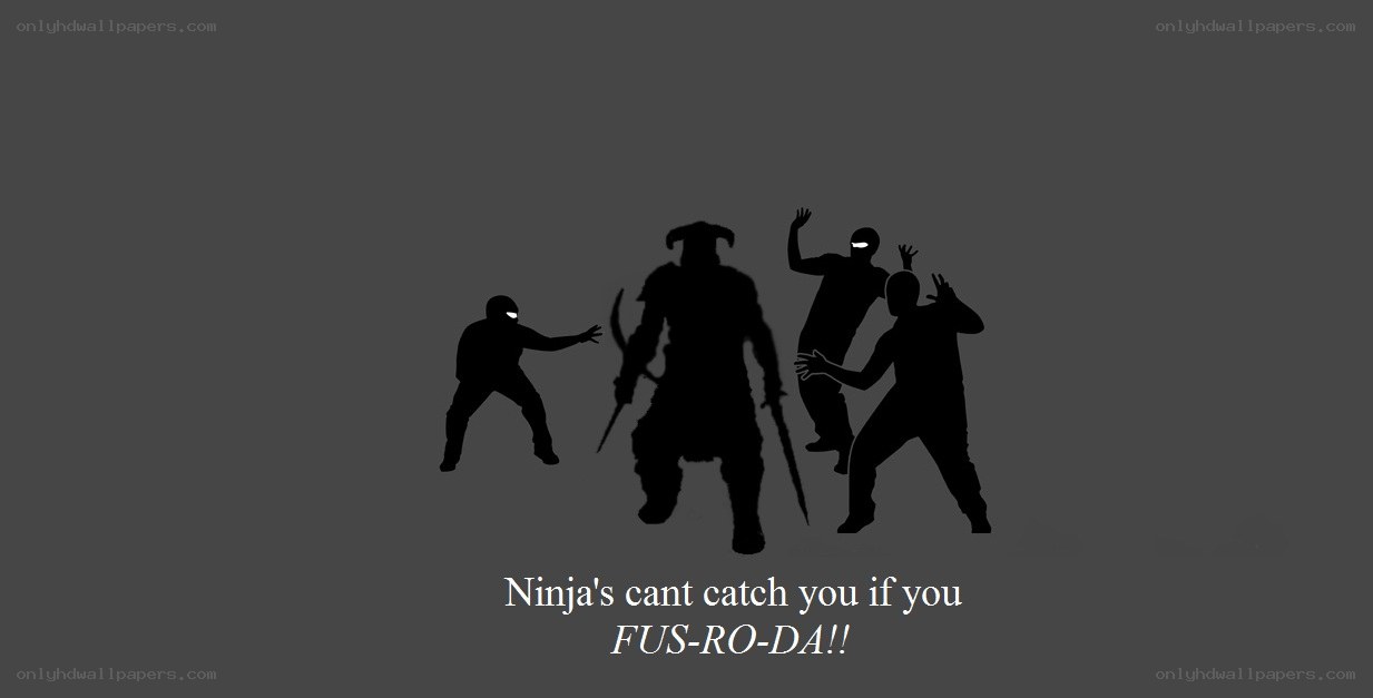 Ninja FUS-RO-DA meme