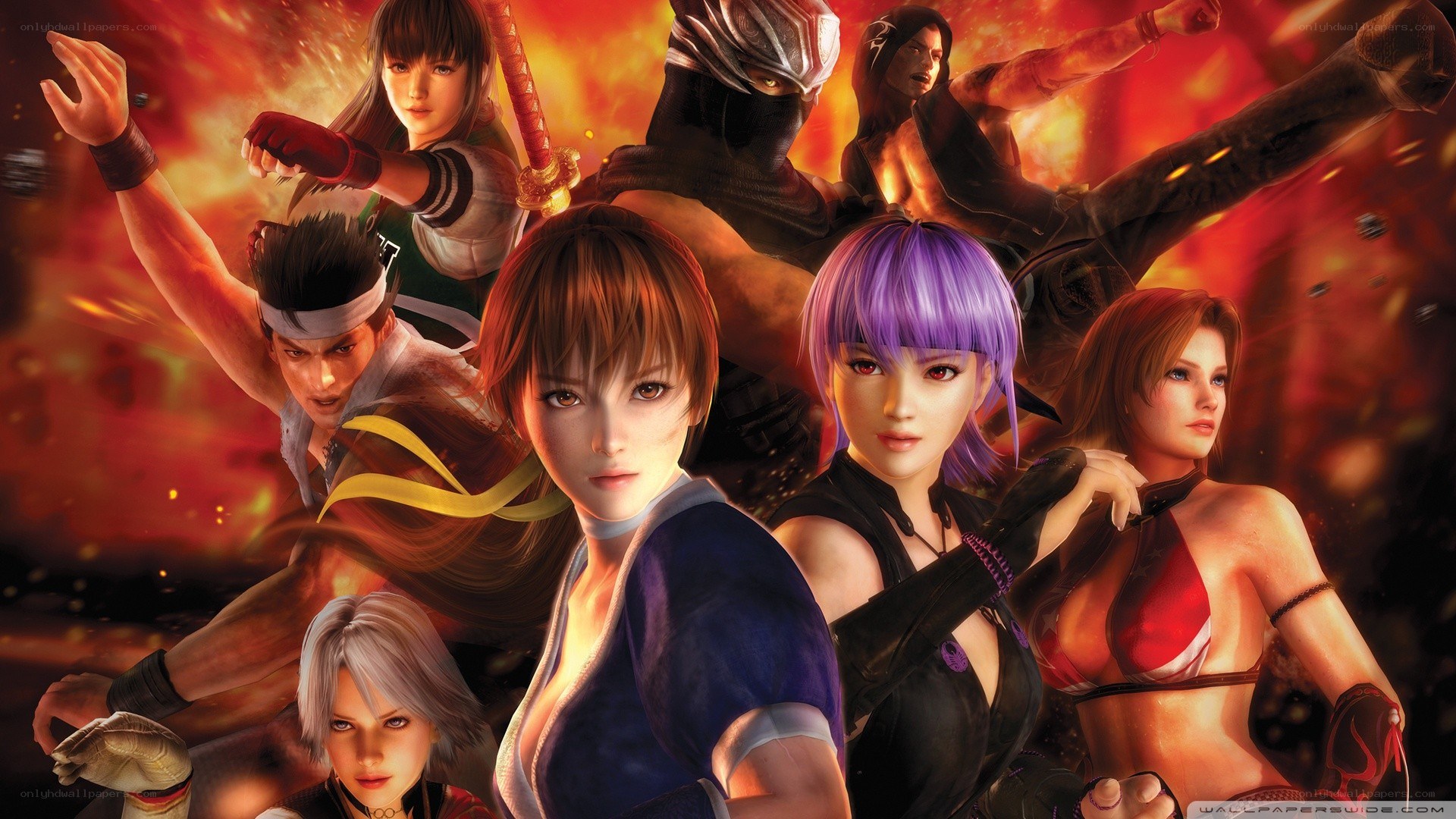 Ninja Gaiden character lineup