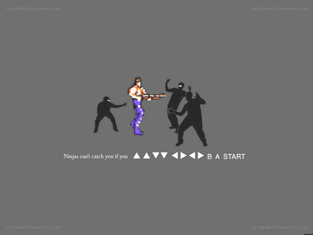 Ninja game cheat screen