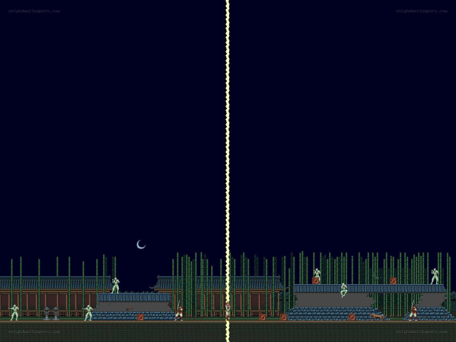 Ninja game scene at night