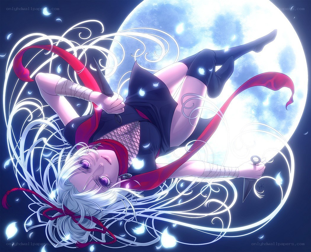 Ninja girl in moonlight