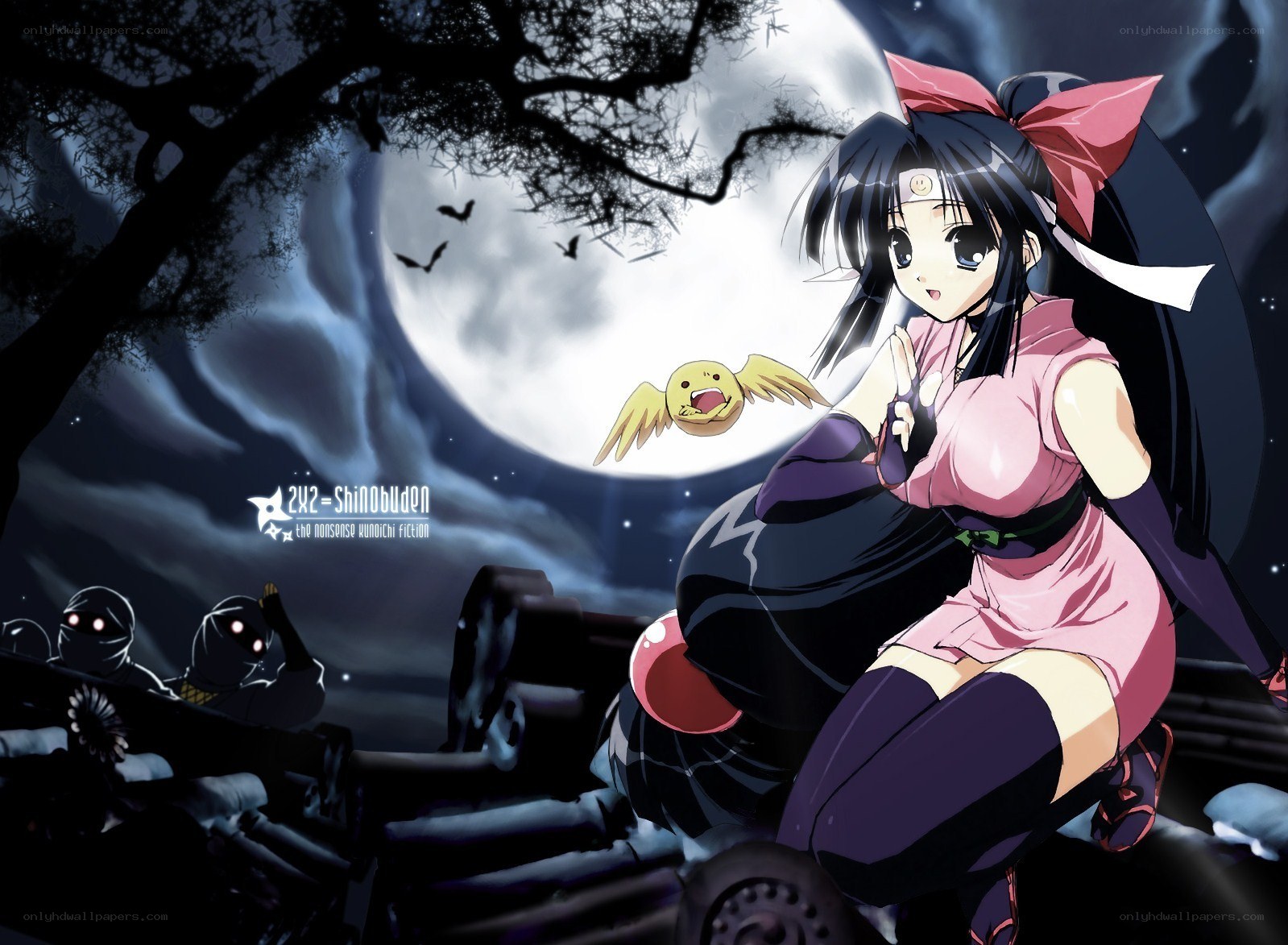 Ninja girl under the moon