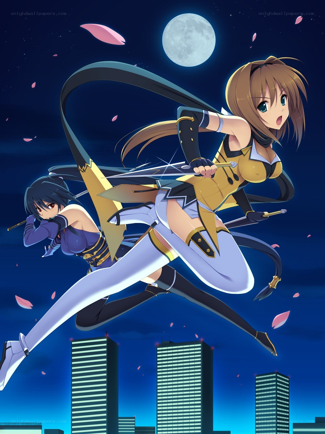 Ninja girls in moonlight