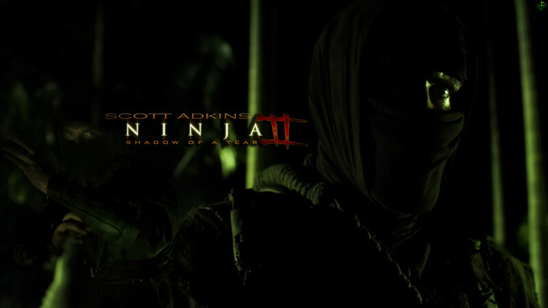 Ninja II: Shadow of a Tear