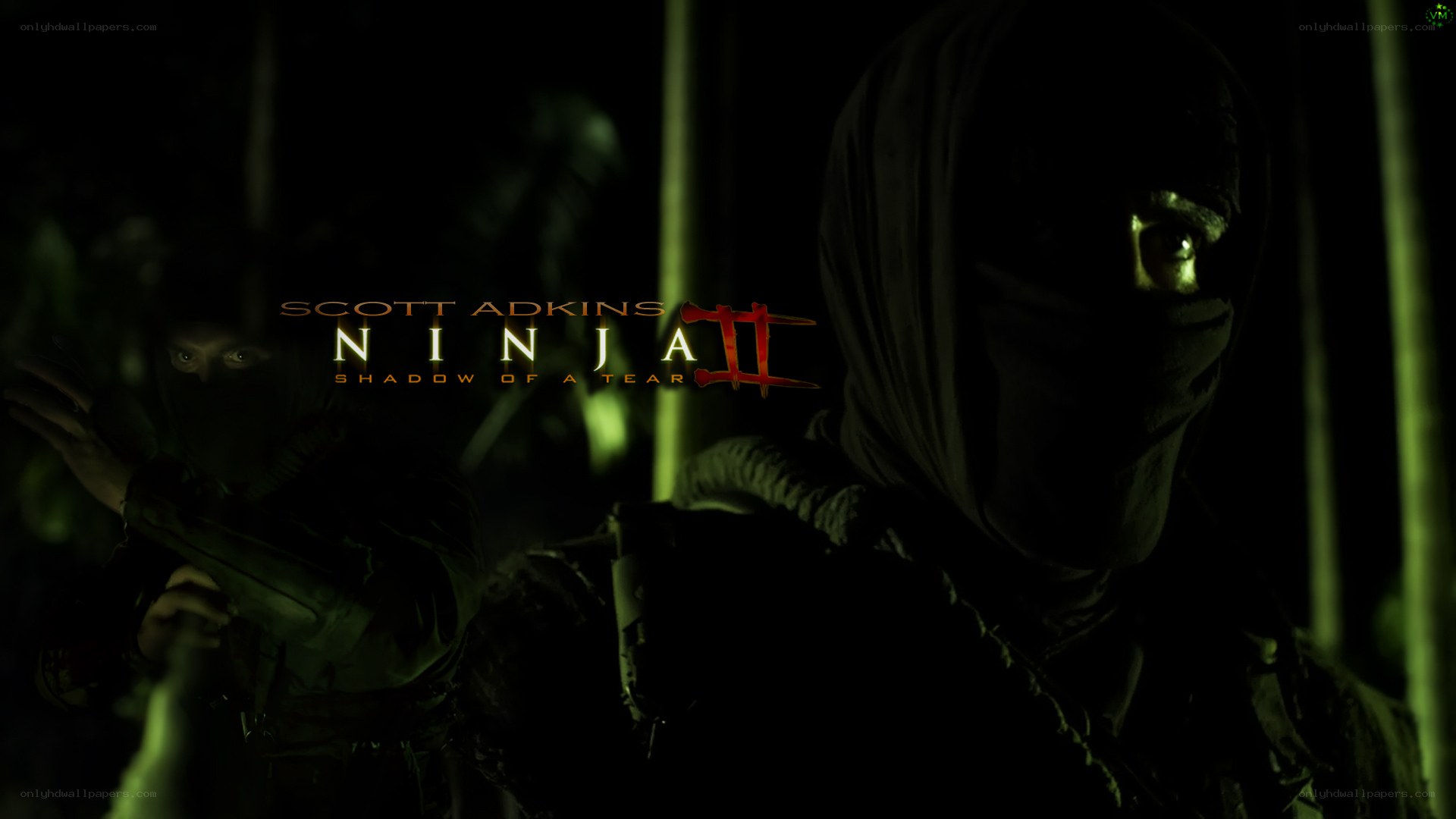 Ninja II: Shadow of a Tear