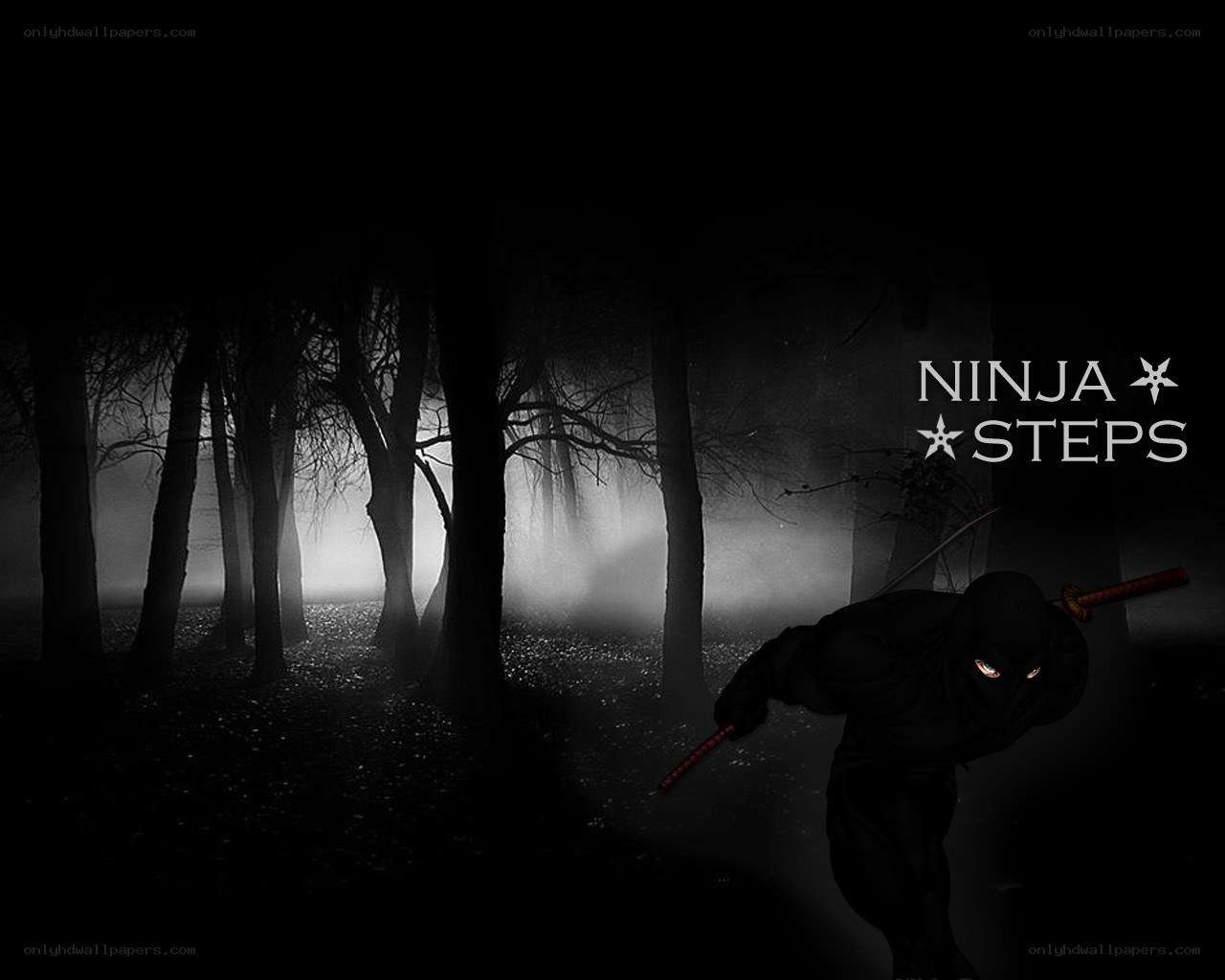 Ninja in a dark forest