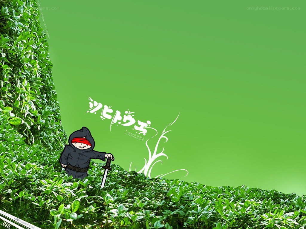 Ninja in a grassy landscape