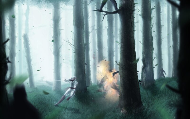 Ninja in a misty forest