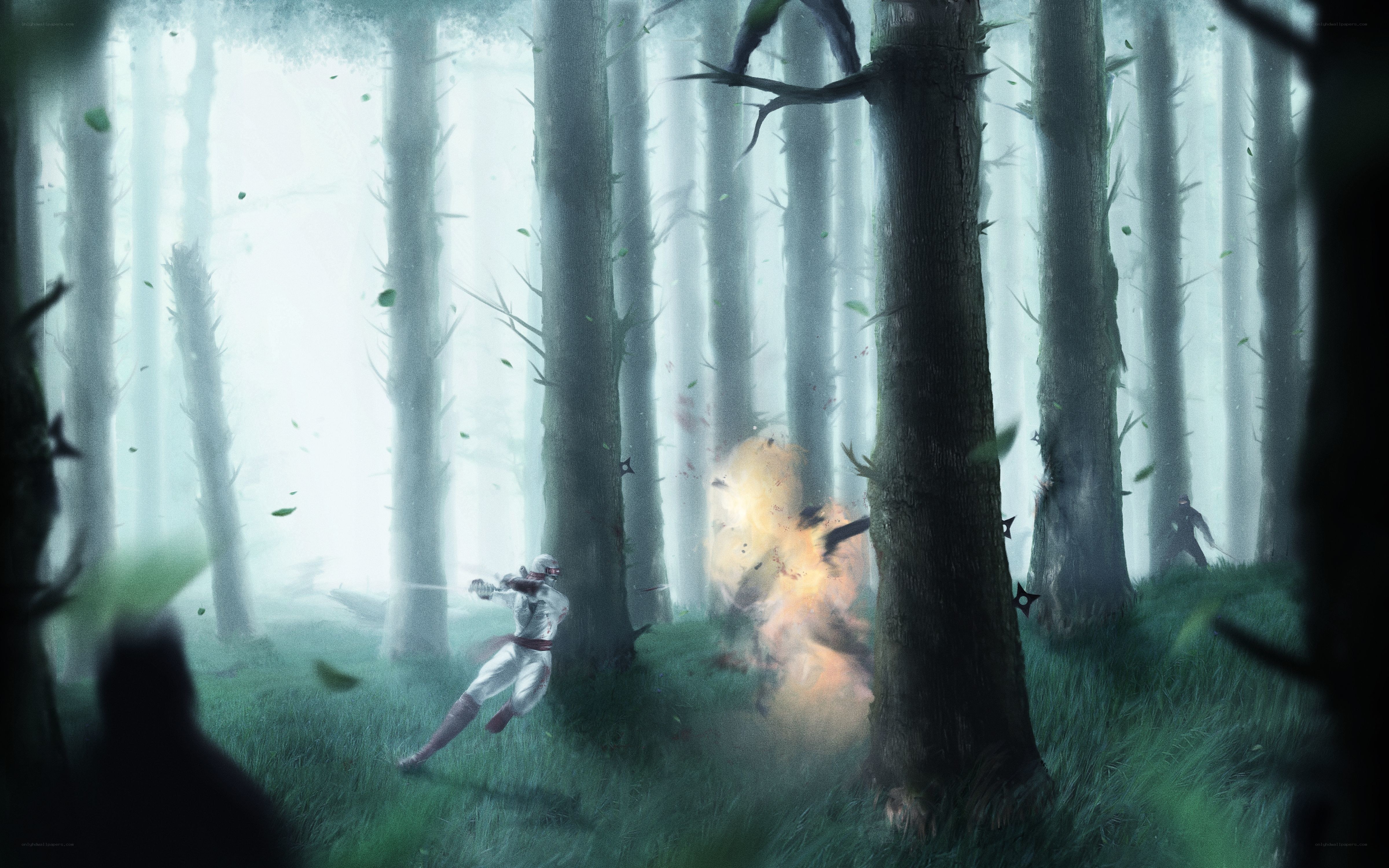 Ninja in a misty forest