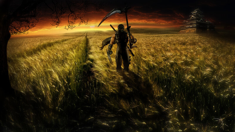 Ninja in a wheat field