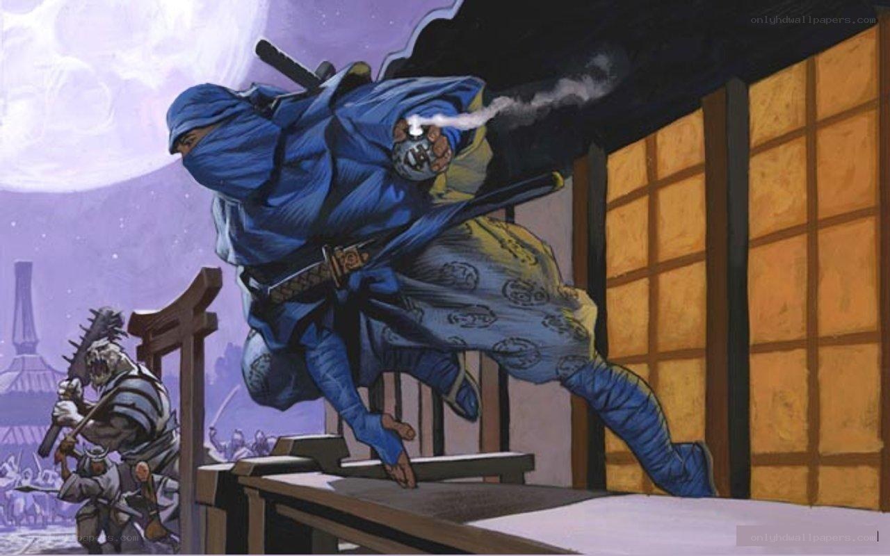 Ninja in action at night