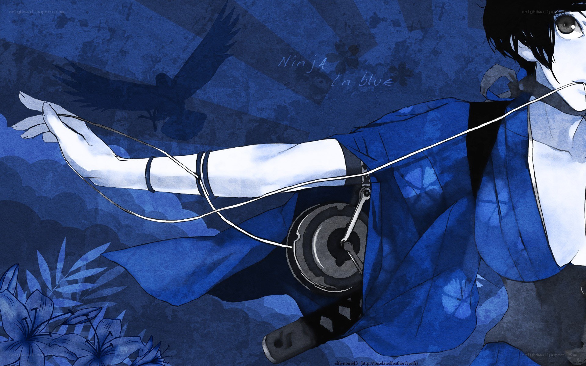 Ninja in blue