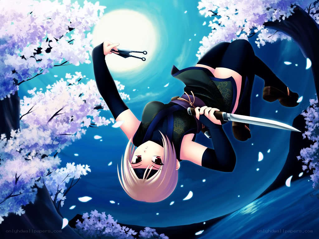 Ninja in cherry blossom night