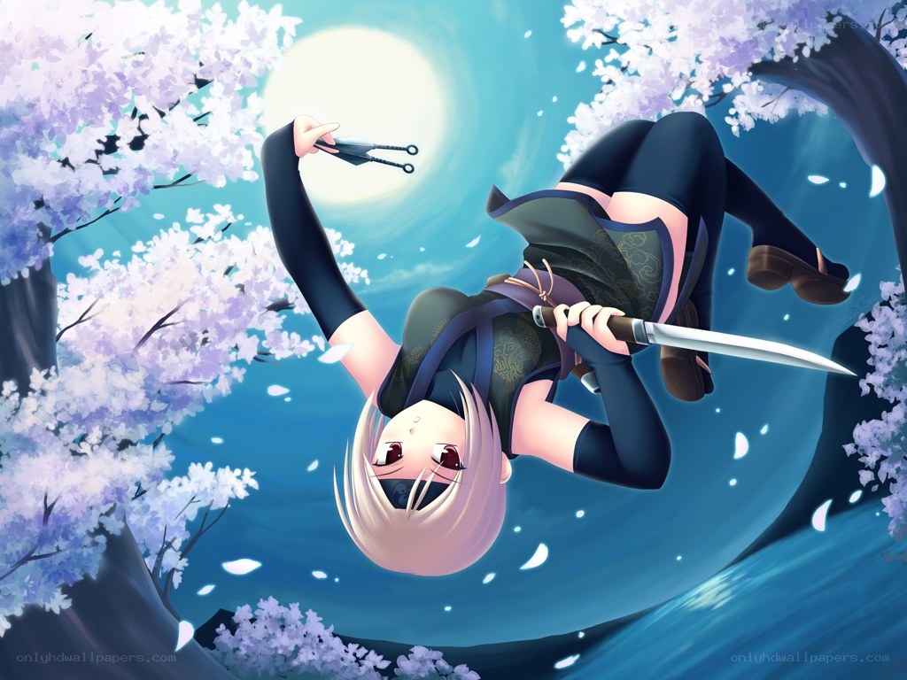 Ninja in cherry blossom night