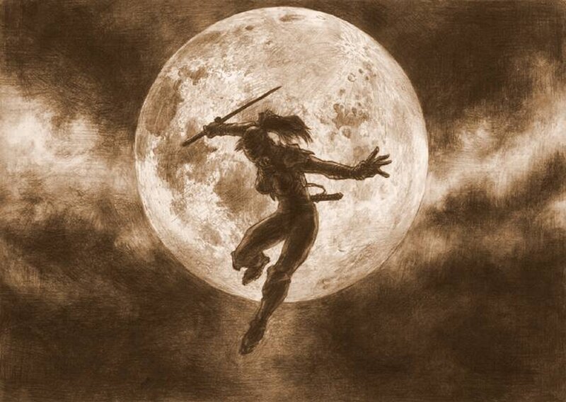 Ninja in Moonlight