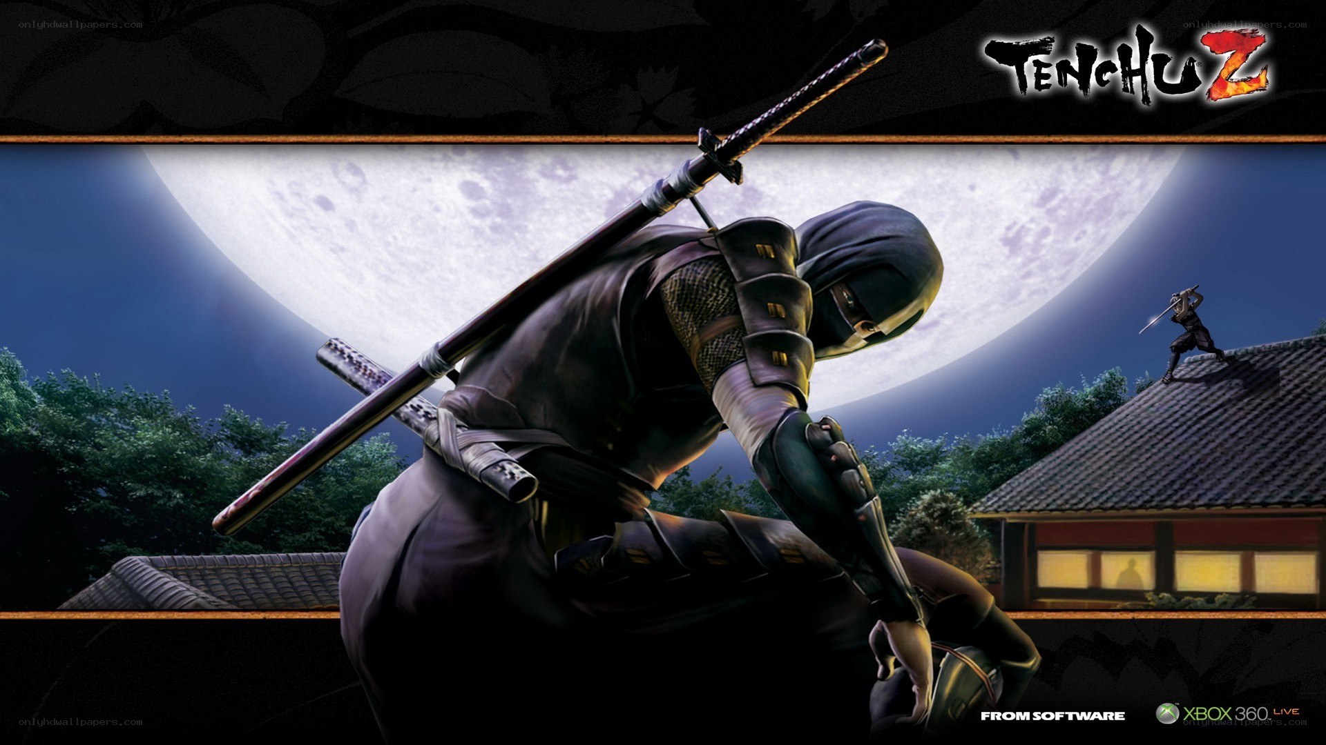 Ninja in moonlight scene