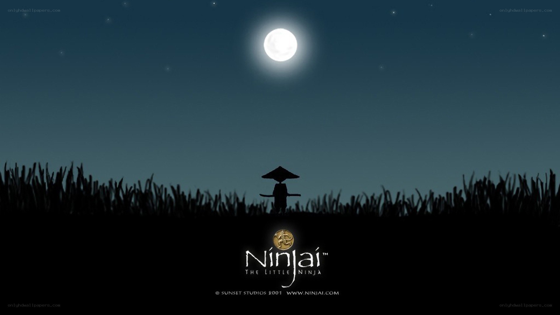 Ninja in moonlit field
