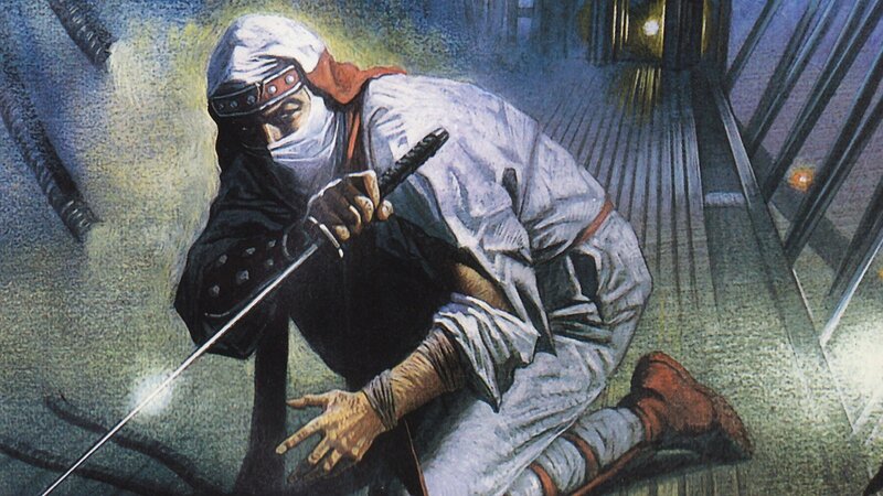 ninja in stealth attack