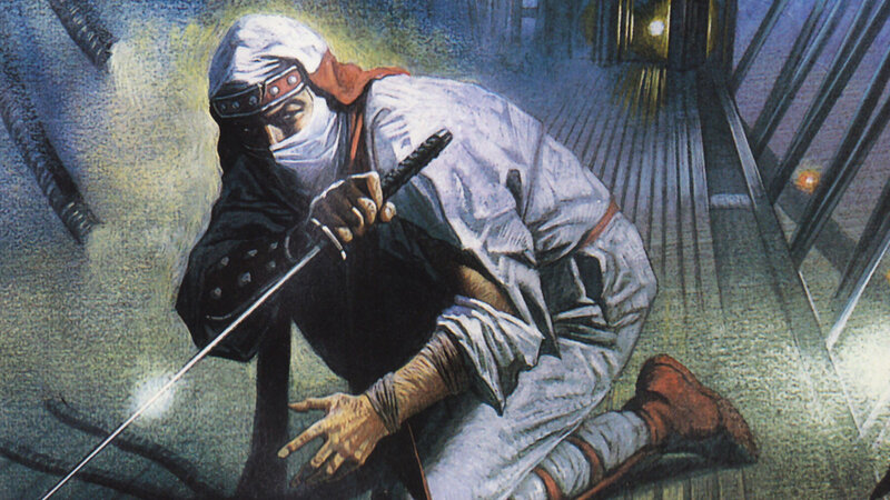 ninja in stealth attack