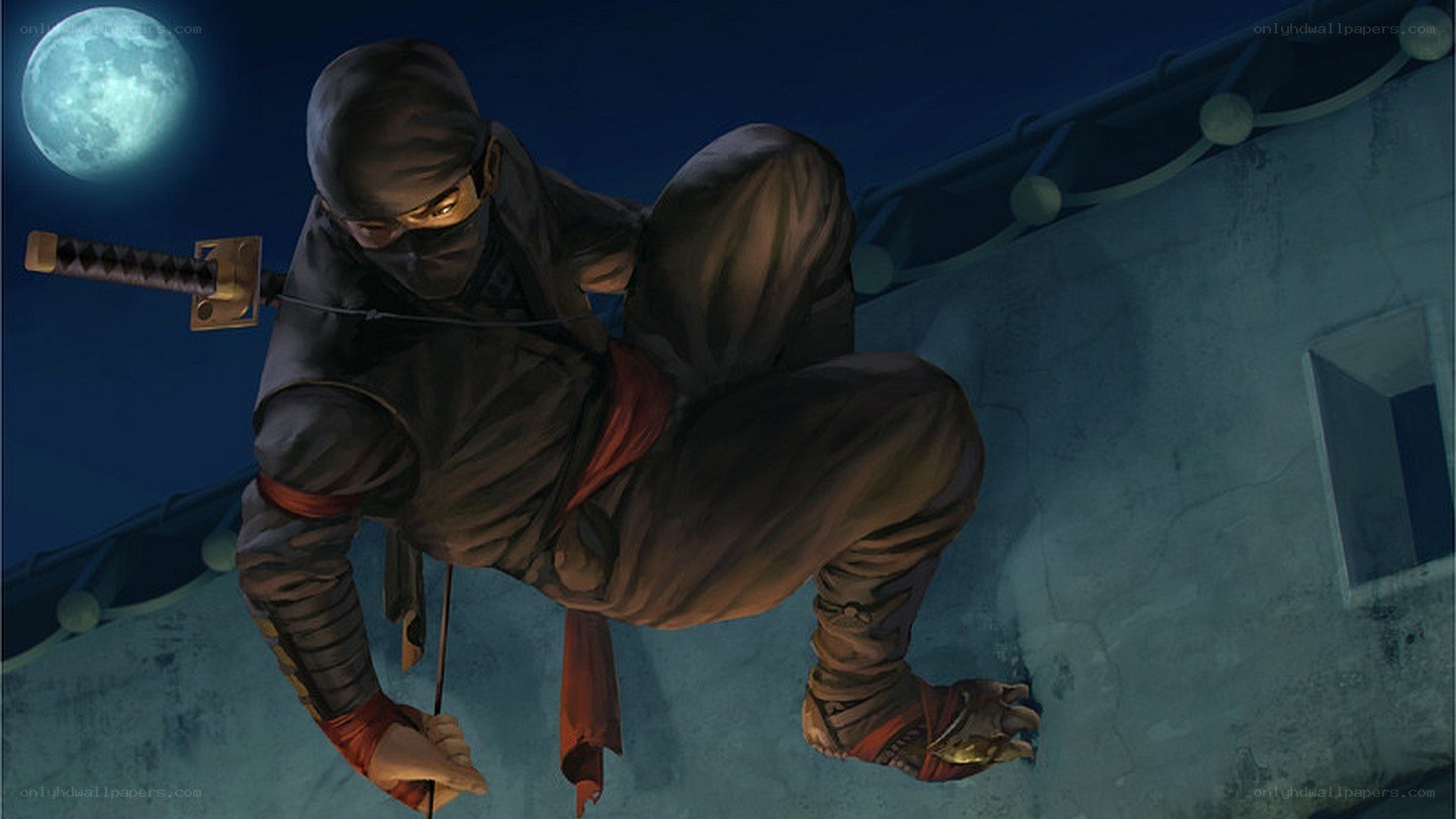 ninja on a moonlit rooftop