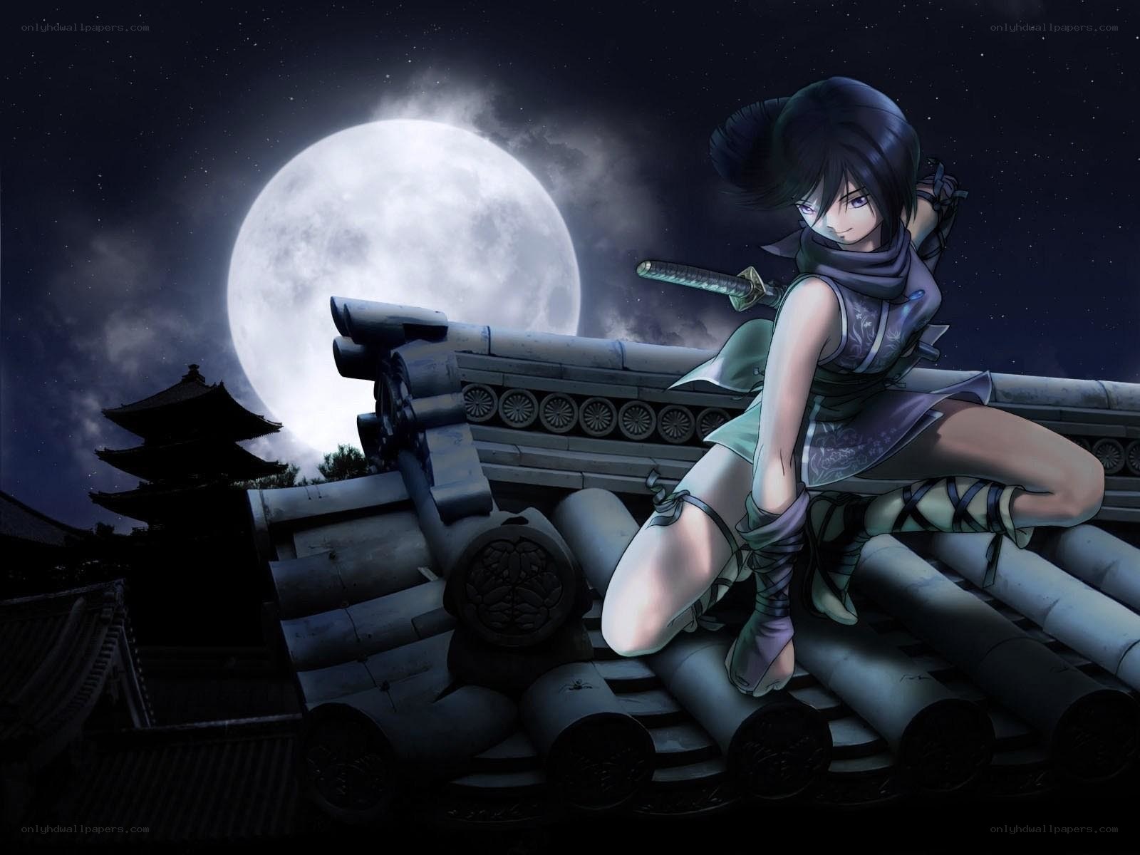 Ninja on a rooftop at night