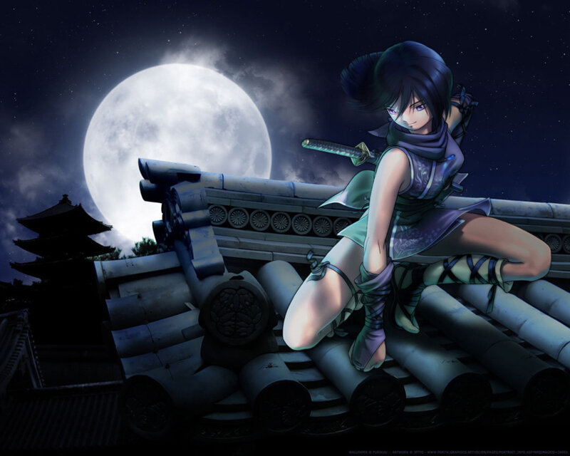 Ninja on a rooftop at night