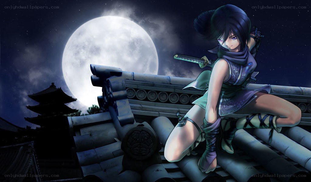 Ninja on a rooftop at night
